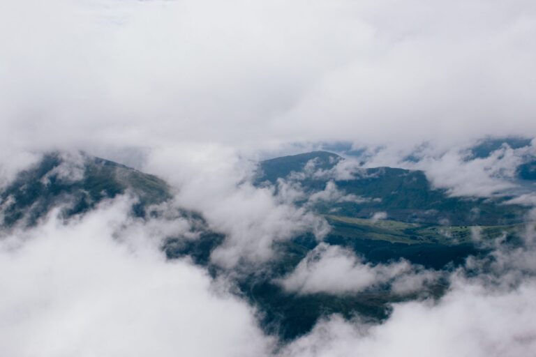Folgen des Klimawandels