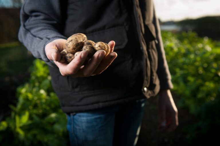 Landwirtschaft und Artenschutz gemeinsam voranbringen