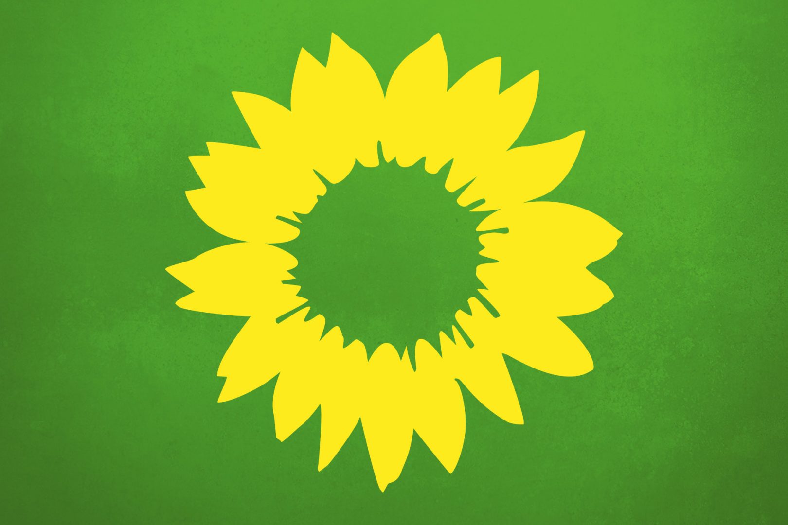 Sonnenblume