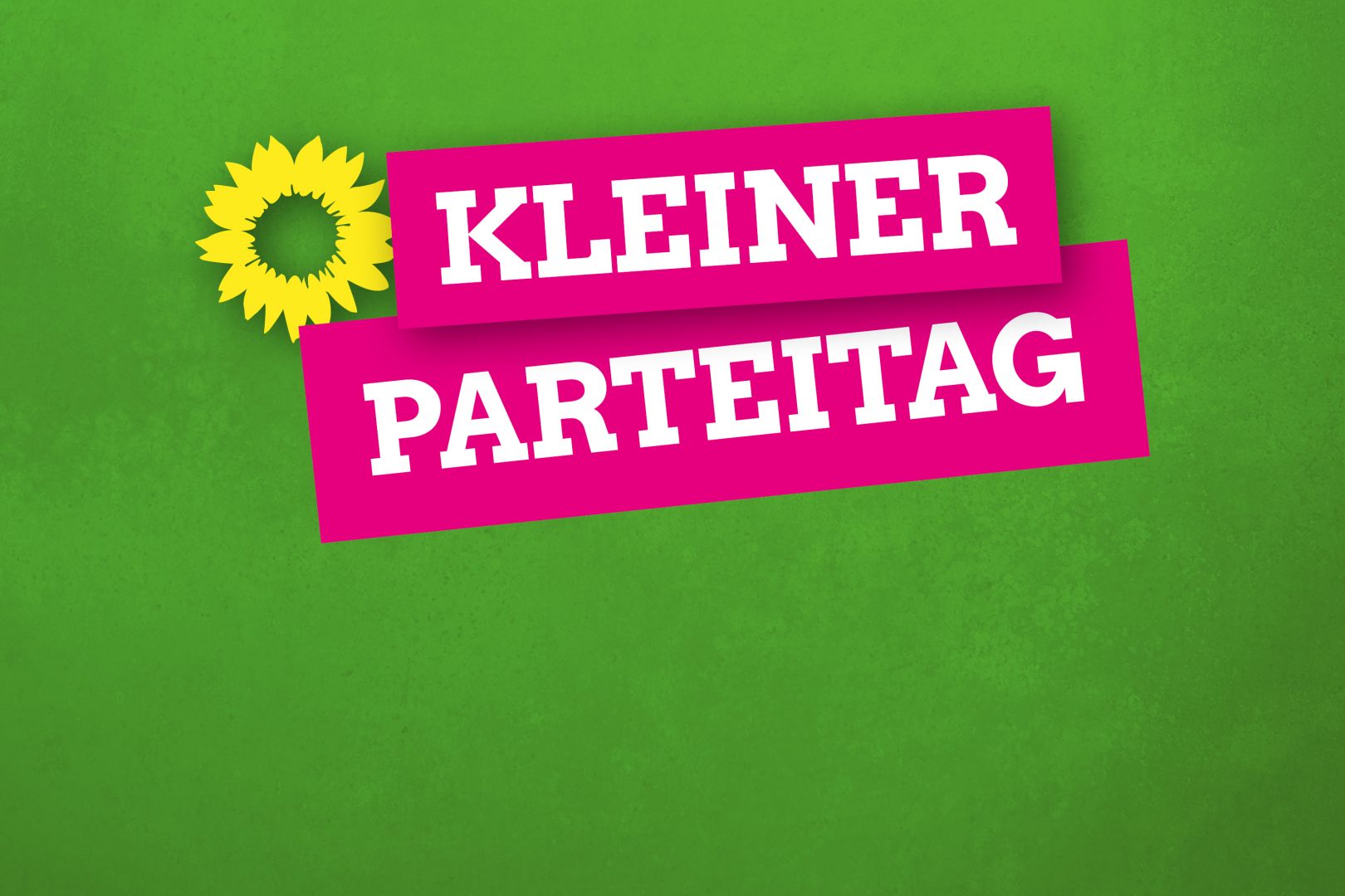 Kleiner Parteitag